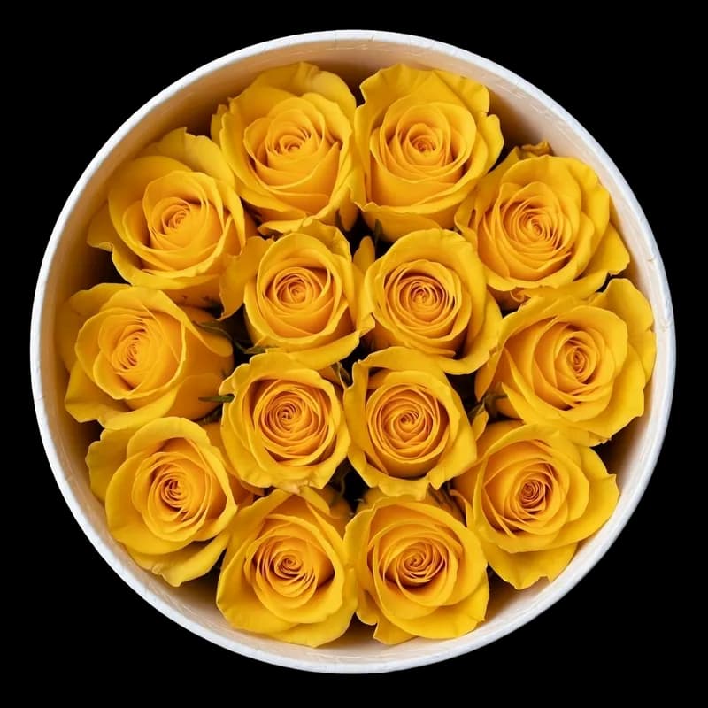 Rosas Amarillas