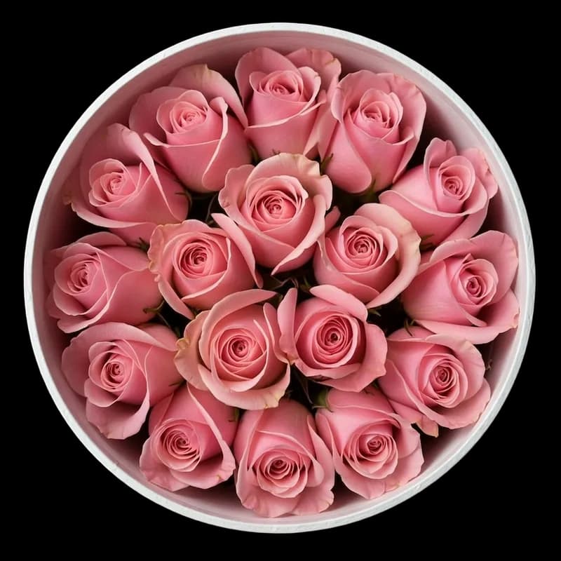 Rosas Rosadas
