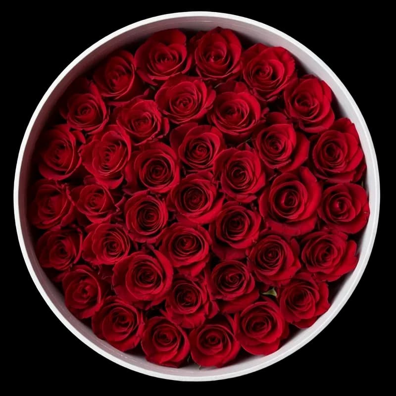 Rosas Rojas